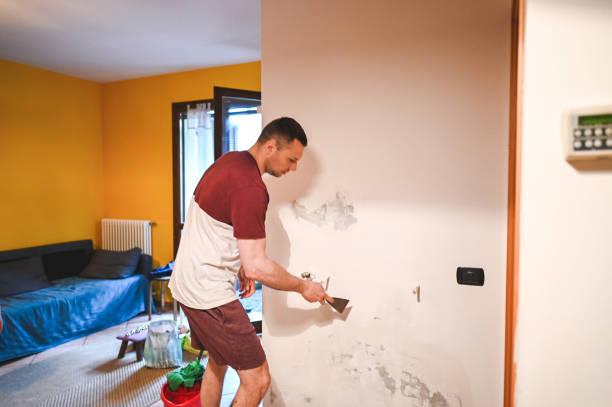Best Kitchen Mold Remediation in Anza, CA